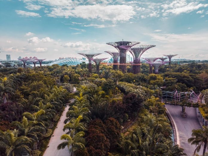 singapuu