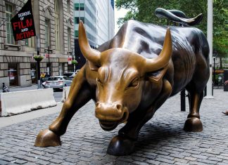 Akcie do roka vyletia nahor, myslí si newyorský finančný analytik akcie