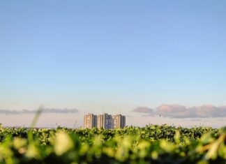 Uhlíková daň na dovoz tovaru do EÚ môže byť proti pravidlám obchodu, varuje Rusko ekologia, srbsko, pole, zemedelstvi