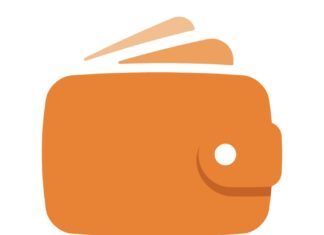 Recenzia Plnápeňaženka.sk: čo dokáže a čo by sa dalo zlepšiť plnapenazenka logo, plnapenazenka recenzie