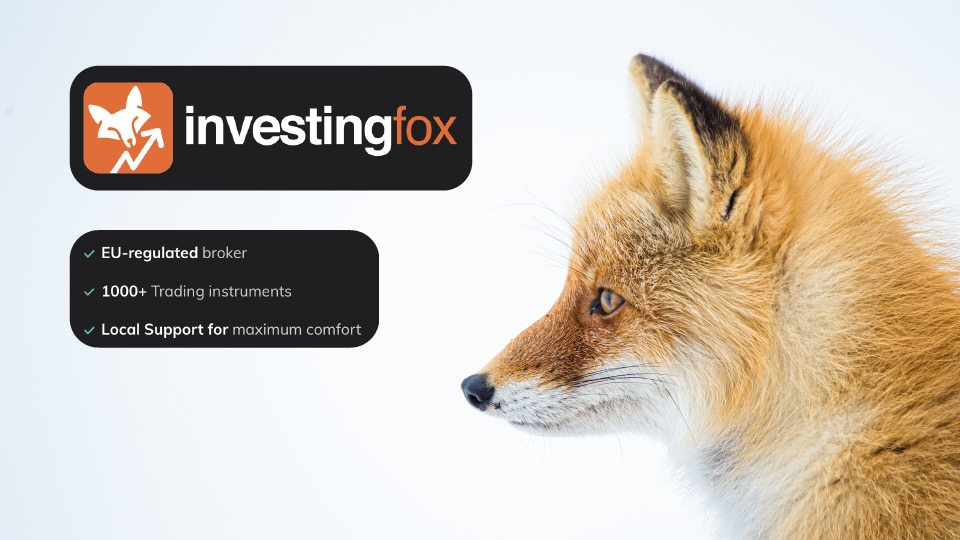 ilustrační fotka investing fox recenzia