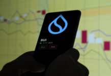 Nový priekopník na kryptomenovom trhu Trading Sui