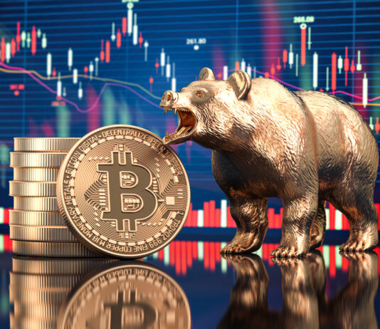 Bitcoin: vstúpil na medvedí trh? Výhľad na rok 2025 a budúcnosť ako rezervnej meny Bitcoin