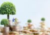 Staré penzijné pripoistenie vs. Nové DPS vs. ETF: Prečo vám garancia nezáporného zhodnotenia požiera úspory a ako na prevod? Miniature elderly couple stands on stacked coins with trees growing from the tops, symbolizing financial growth.